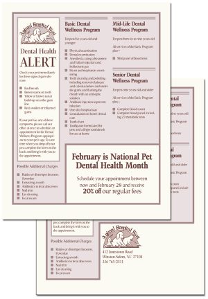 Animal Hospital West “Dental Health Alert” flyer