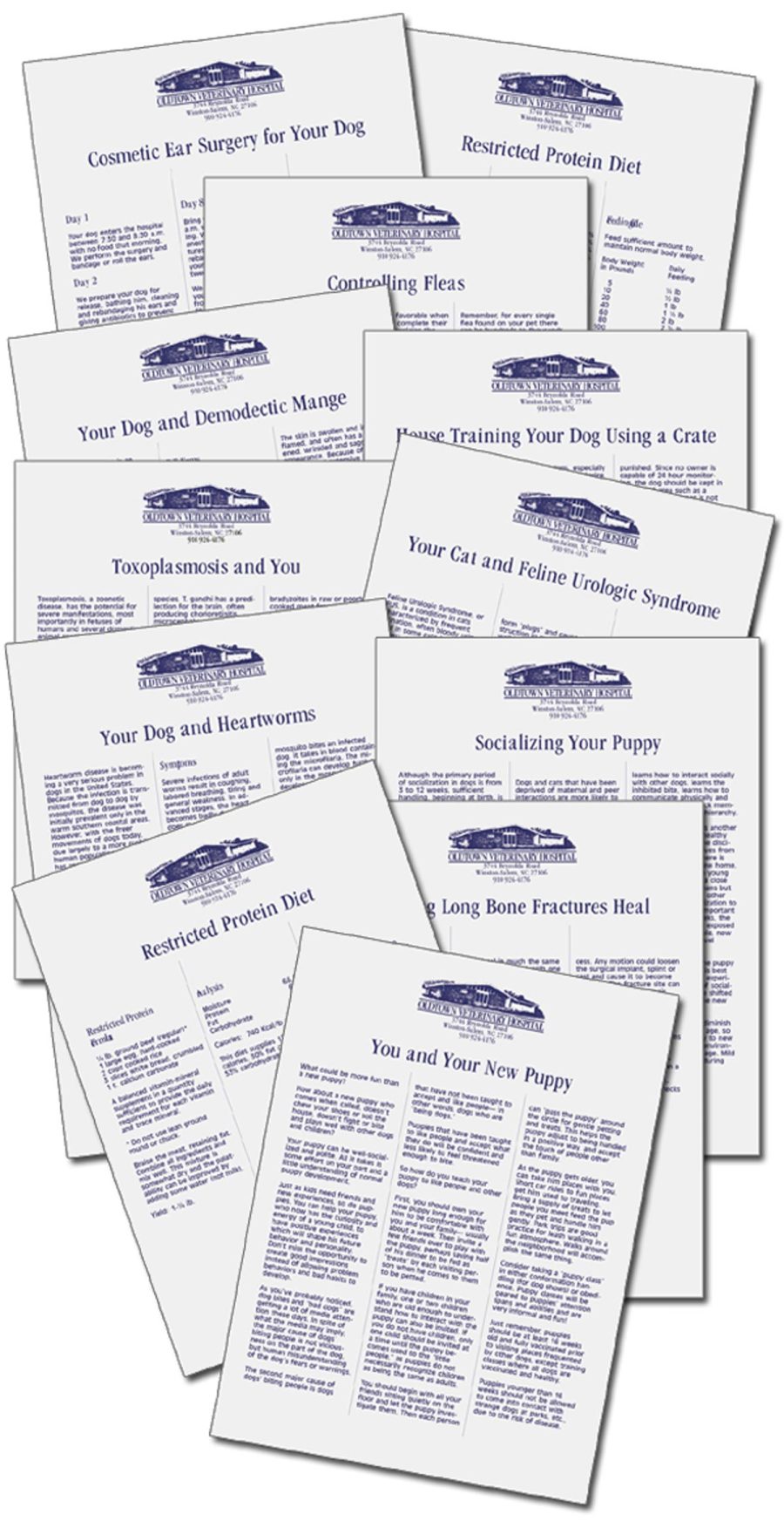 Oldtown Veterinary Hospital client education handouts