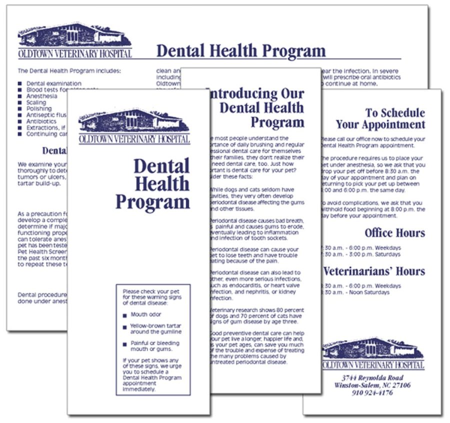 Oldtown Veterinary Hospital “Dental Services” brochure