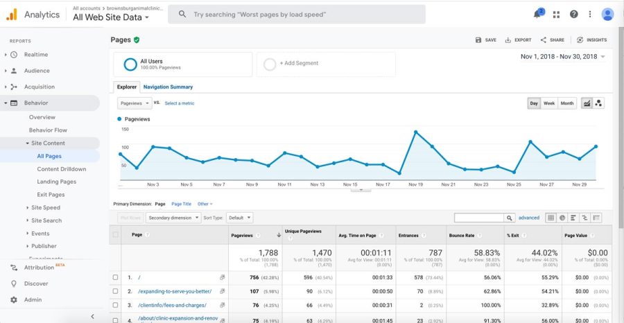 Brownsburg Animal Clinic Google Analytics screen shot showing traffic for building