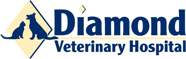 Diamond Veterinary Hospital logo