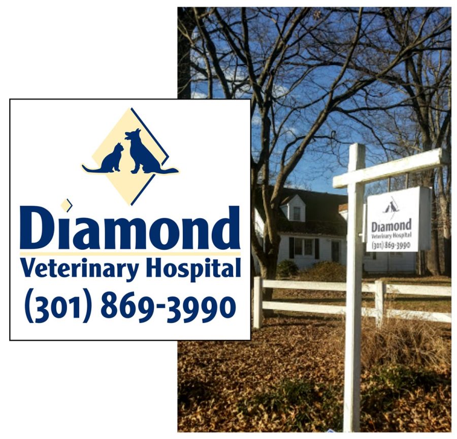 Diamond Veterinary Hospital Sign